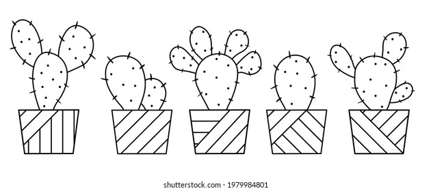 Set of vector cactuses in flowerpots. Doodle isolated sketch cactus.