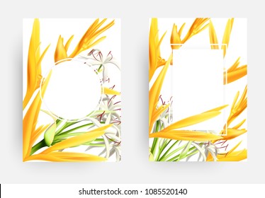 Set of Vector Card Templates with Strelizia and White Flowers and Place for Text