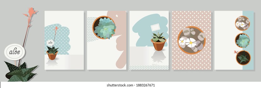 Conjunto de tarjetas vectoriales con manchas abstractas, texturas y plantas domésticas. Las postales tienen espacio para el texto