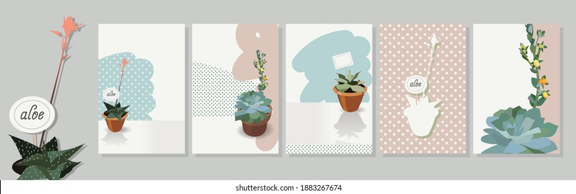 Set of vector cards with abstract stains, textures and house plants. Postcards have space for text