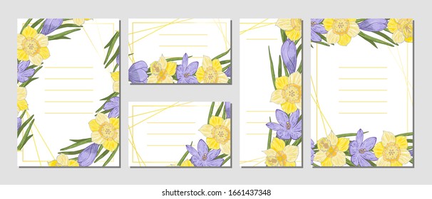 Conjunto de tarjetas vectoriales con diseño de flores de daffodils, crocuses. Colección romántica festiva de primavera. Plantillas para tarjetas, marcos para invitaciones, saludos con lugar para texto.