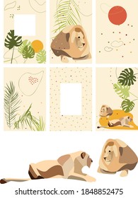 set of vector cards with lions, doodles, palm leaves and monstera leaves. cool vector illustrations for the design of cards, posters, invitations, exercise books.