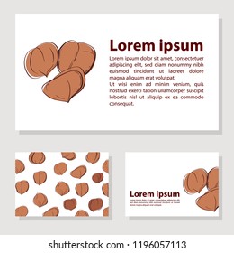 Set of vector cards with nuts and seeds. Vector illustration for your design. Hazelnut, vector illustration. 