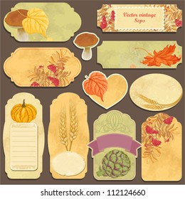 Set vector cards with vegetables, ash, autumn leaves and wheat ears