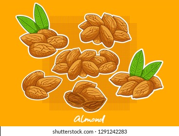 set of vector cartoon almonds, almonds, fresh almonds, hazelnuts, vector almonds.