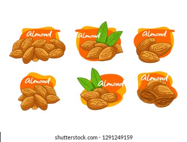 set of vector cartoon almonds, almonds, fresh almonds, hazelnuts, vector almonds.