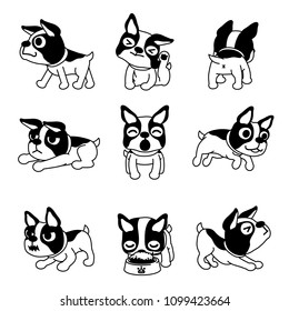 Set vector cartoon character boston terrier dog poses for design 