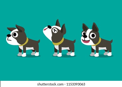 Conjunto de personajes vectoriales de caricatura de boston terrier posa para el diseño.