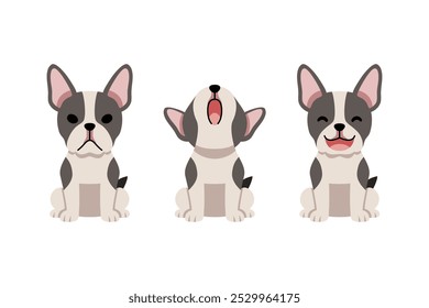 Set of vector cartoon character boston terrier dog for design.