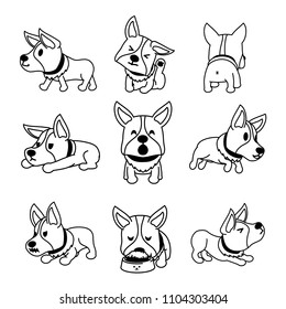 Set of vector cartoon character corgi dog poses for design.