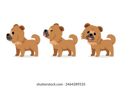 Set of vector cartoon character cute chow chow dog for design.