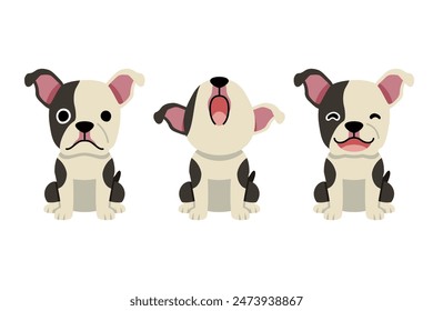 Set of vector cartoon character cute boston terrier dog for design.