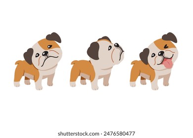 Set of vector cartoon character cute bulldog for design.