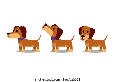 Set of vector cartoon character dachshund dog poses for design.
