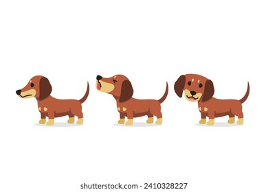 Set of vector cartoon character dachshund dog for design.