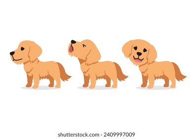 Set of vector cartoon character golden retriever dog for design.