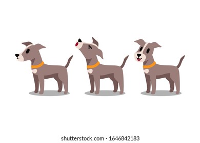 Set von Vektorillustration Cartoon Charakter Windhund Hund Posen für Design.