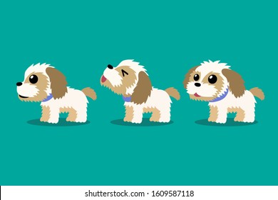 Set of vector cartoon character shih tzu dog poses