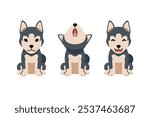 Set of vector cartoon character siberian husky dog for design.