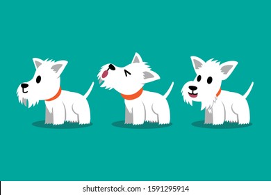 Set of vector cartoon character white scottish terrier dog poses for design.