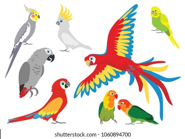 Set of vector cartoon colorful parrots in different poses. Jaco, cockatoos, wavy parrot, budgerigar, parrots are inseparable, lovebirds, Ara  Macaw, Corella. Cute birds isolated on white in flat style