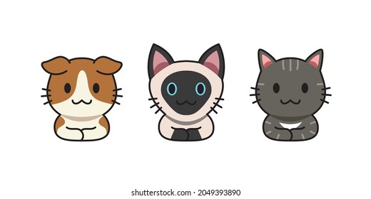 Set of vector cartoon cute cats for design.