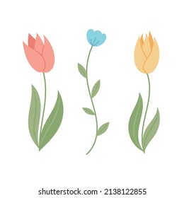 Set of vector cartoon flowers, tulips and cornflower.
