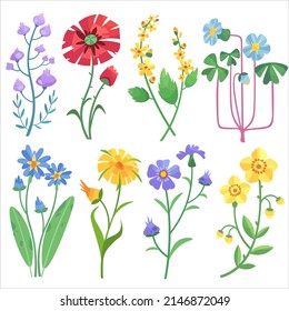 Satz von Vektorkariktoonblumen verschiedener Art. Pflaumen, vergessene Noten, Lüster und fantastische Blumen einzeln auf weißem Hintergrund