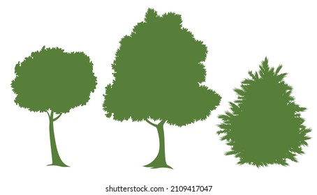 Set Of Vector Cartoon Green Trees Realistic Silhouettes Isolated On White Background