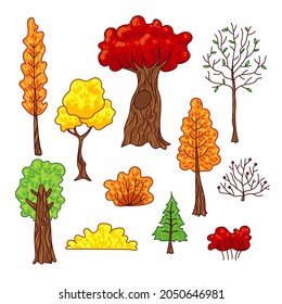 Conjunto de ilustraciones vectoriales de árboles y arbustos otoñales. Montaje de árboles coloridos con hojas naranjas, amarillas verdes y rojas. Ramas forestales aisladas, patio trasero, árboles estacionados en fondo blanco.