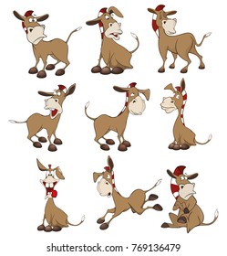 Set of Vector Cartoon Illustration Donkeys for you Design