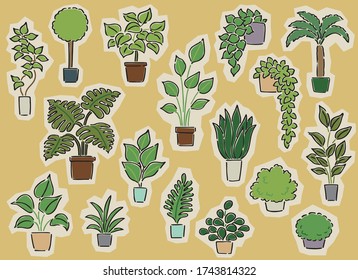 Set of  vector cartoon illustration, foliage plant