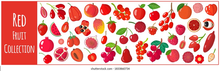 Conjunto de ilustraciones vectoriales de dibujos animados con frutos rojos exóticos aislados en fondo blanco. Colección de frutos rojos del mundo.