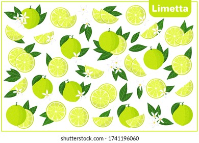 Zeichensatz von Vektorgrafiken mit ganzen, halben, geschnittenen Streifen Limetta exotische Früchte, Blumen und Blätter isoliert auf weißem Hintergrund