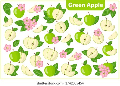 Conjunto de ilustraciones vectoriales de dibujos animados con mitad enteras, trozos cortados Frutos exóticos de manzana verde, flores y hojas aisladas en fondo blanco
