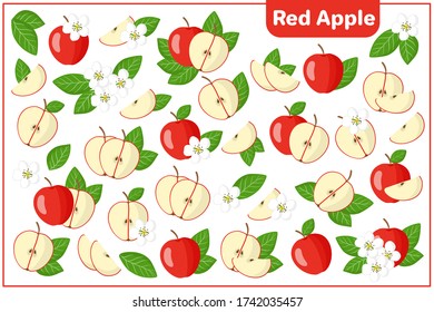 Set of vector cartoon illustrations with whole, half, cut slice Red apple exotic fruits, flowers and leaves isolated on white background