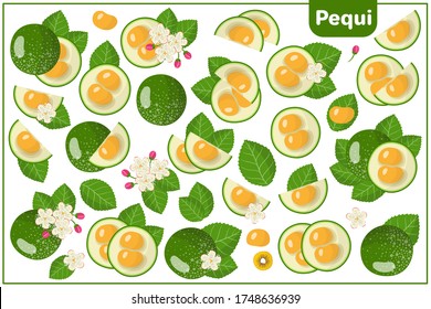 Set of vector cartoon illustrations with whole, half, cut slice Pequi exotic fruits, flowers and leaves isolated on white background