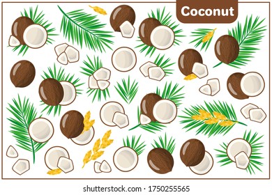 Conjunto de ilustraciones vectoriales de dibujos animados enteros, a medias, trozos cortados Frutas exóticas de coco, flores y hojas aisladas en fondo blanco