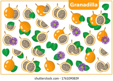 Reihe von Vektorcartoon-Illustrationen mit ganz, halb, geschnittenen Slice Granadilla exotische Früchte, Blumen und Blätter einzeln auf weißem Hintergrund