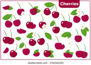 Conjunto de ilustraciones vectoriales de dibujos animados enteros, a medias, trozos cortados Cerezas frutos exóticos, flores y hojas aisladas en fondo blanco