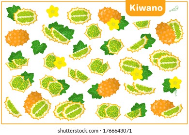 Set of vector cartoon illustrations with whole, half, cut slice Kiwano exotic fruits, flowers and leaves isolated on white background