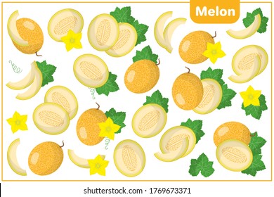 Set of vector cartoon illustrations with whole, half, cut slice Melon exotic fruits, flowers and leaves isolated on white background