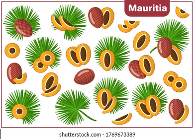 Set of vector cartoon illustrations with whole, half, cut slice Mauritia exotic fruits and leaves isolated on white background