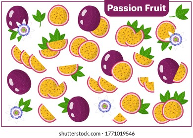 Reihe von Vektorcartoon-Illustrationen mit ganz, halb, geschnittenen Slice Passion Frucht exotische Früchte, Blumen und Blätter einzeln auf weißem Hintergrund