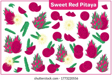 Set of vector cartoon illustrations with whole, half, cut slice Sweet Red Pitaya exotic fruits, flowers and leaves isolated on white background