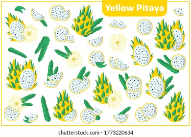 Set of vector cartoon illustrations with whole, half, cut slice Yellow Pitaya exotic fruits, flowers and leaves isolated on white background
