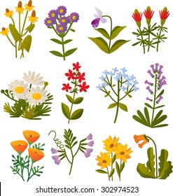 set of vector cartoon north american wild flowers