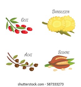 Set of Vector cartoon superfoods. Fresh fruits sketch background. Vector illustration for your design.
