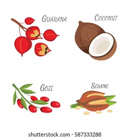 Set of Vector cartoon superfoods. Fresh fruits sketch background. Vector illustration for your design.