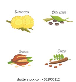 Set of Vector cartoon superfoods. Illustration for your design.